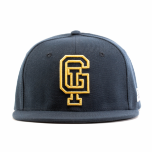 navy snapback with gold embroidery